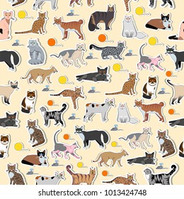 Vector breed cats icons sticker. Cute animal illustrations pet design . Collection different kitten layout flat seamless pattern