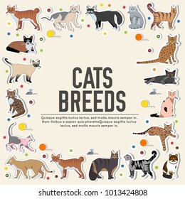 Vector breed cats icons sticker set. Cute animal illustrations pet design . Collection different kitten layout flat cover