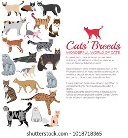 Vector breed cats icons sticker set. Cute animal illustrations pet design . Collection different kitten layout flat cover