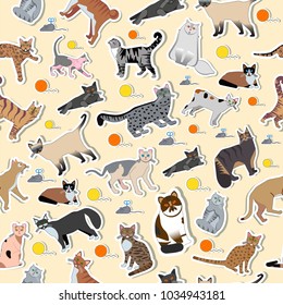 Vector breed cats icons sticker. Cute animal illustrations pet design . Collection different kitten layout flat seamless pattern.