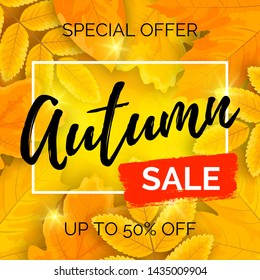 Vector bright banner with yellow cartoon leaves and text Autumn Sale on shiny background with bokeh and brush stroke.