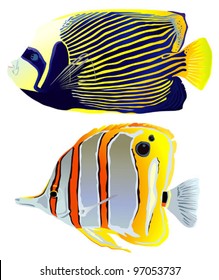 Vector bright beautiful tropical fishes