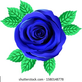Vector Bright Blue Rose Flower. Rose Clipart With Petals And Leaf. Transparent Background. Close Up.