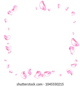 Vector bright cherry petals fall down. A lot of pink petals on white background. Nature horizontal backdrop.