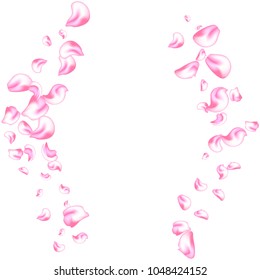 Vector bright cherry petals fall down. A lot of pink petals on white background. Nature horizontal backdrop.