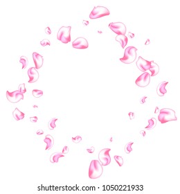 Vector bright cherry petals fall down. A lot of pink petals on white background. Nature horizontal backdrop.