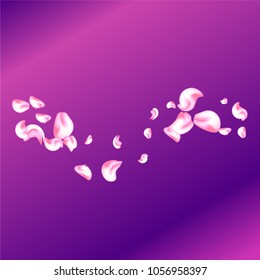 Vector bright cherry petals fall down. A lot of pink petals on colorful background. Nature horizontal backdrop.