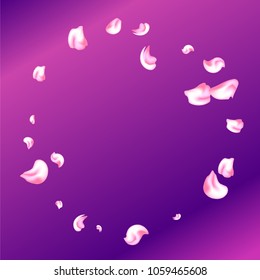 Vector bright cherry petals fall down. A lot of pink petals on white background. Nature horizontal backdrop.