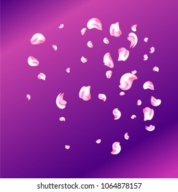 Vector bright cherry petals fall down. A lot of pink petals on colorful background. Nature horizontal backdrop.