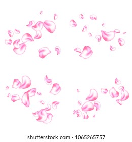 Vector bright cherry petals fall down. A lot of pink petals on white background. Nature horizontal backdrop.