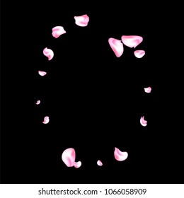 Vector bright cherry petals fall down. A lot of pink petals on black background. Nature horizontal backdrop.