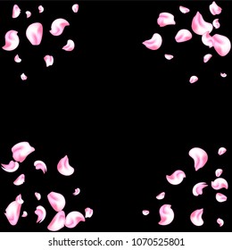 Vector bright cherry petals fall down. A lot of pink petals on black background. Nature horizontal backdrop.