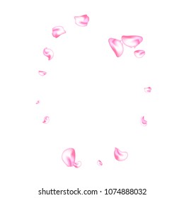 Vector bright cherry petals fall down. A lot of pink petals on white background. Nature horizontal backdrop.