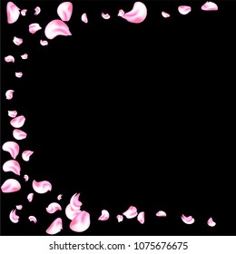 Vector bright cherry petals fall down. A lot of pink petals on black background. Nature horizontal backdrop.