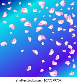 Vector bright cherry petals fall down. A lot of pink petals on colorful background. Nature horizontal backdrop.