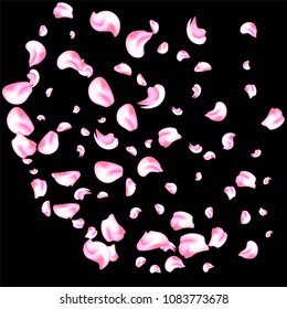 Vector bright cherry petals fall down. A lot of pink petals on black background. Nature horizontal backdrop.