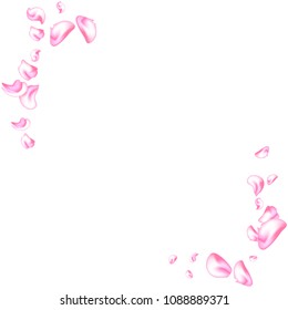 Vector bright cherry petals fall down. A lot of pink petals on white background. Nature horizontal backdrop.