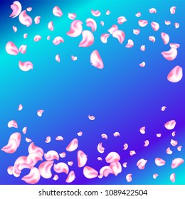 Vector bright cherry petals fall down. A lot of pink petals on colorful background. Nature horizontal backdrop.