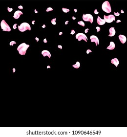 Vector bright cherry petals fall down. A lot of pink petals on black background. Nature horizontal backdrop.
