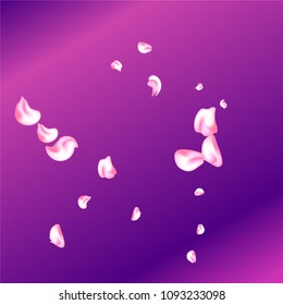 Vector bright cherry petals fall down. A lot of pink petals on colorful background. Nature horizontal backdrop.