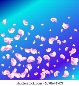 Vector bright cherry petals fall down. A lot of pink petals on colorful background. Nature horizontal backdrop.