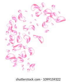 Vector bright cherry petals fall down. A lot of pink petals on white background. Nature horizontal backdrop.