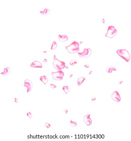 Vector bright cherry petals fall down. A lot of pink petals on white background. Nature horizontal backdrop.