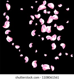 Vector bright cherry petals fall down. A lot of pink petals on black background. Nature horizontal backdrop.