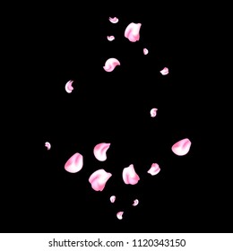 Vector bright cherry petals fall down. A lot of pink petals on black background. Nature horizontal backdrop.