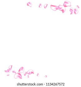 Vector bright cherry petals fall down. A lot of pink petals on white background. Nature horizontal backdrop.
