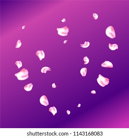 Vector bright cherry petals fall down. A lot of pink petals on colorful background. Nature horizontal backdrop.