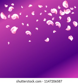 Vector bright cherry petals fall down. A lot of pink petals on colorful background. Nature horizontal backdrop.