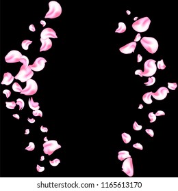 Vector bright cherry petals fall down. A lot of pink petals on black background. Nature horizontal backdrop.