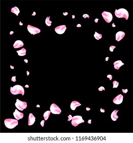 Vector bright cherry petals fall down. A lot of pink petals on black background. Nature horizontal backdrop.