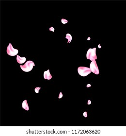Vector bright cherry petals fall down. A lot of pink petals on black background. Nature horizontal backdrop.