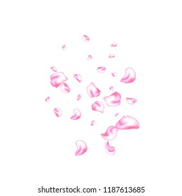 Vector bright cherry petals fall down. A lot of pink petals on white background. Nature horizontal backdrop.
