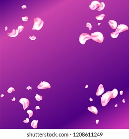 Vector bright cherry petals fall down. A lot of pink petals on colorful background. Nature horizontal backdrop.