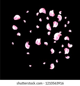 Vector bright cherry petals fall down. A lot of pink petals on black background. Nature horizontal backdrop.