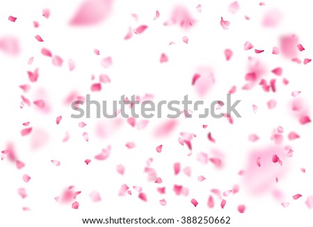 Vector bright cherry petals fall down. A lot of pink petals on white background. Nature horizontal backdrop.