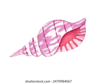 Vector bright colorful hand drawn watercolor illustration of seashell isolated on white background