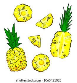 vector bright colorful yellow green pineapple fruit whole and slices  childish hand drawn set