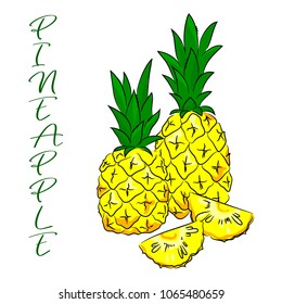vector bright colorful yellow green pineapple fruit whole and slices  childish hand drawn set with word