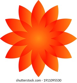 Vector of a bright colors flower with many petals