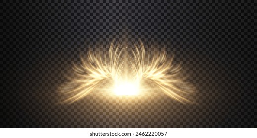 Vector bright glowing wings with a special light effect. Abstract light effect.