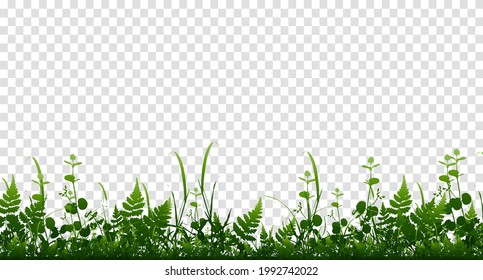 Vector bright green realistic seamless grass border isolated background. Vector illustration