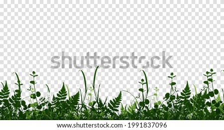 Vector bright green realistic seamless grass border isolated background. Vector illustration