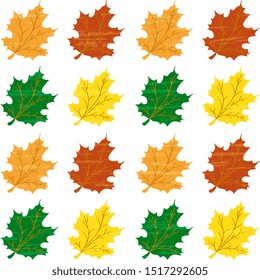 Vector bright illustration with colorful maple leaves on a white background, with an old vintage texture, artistic. Autumnal seamless design.