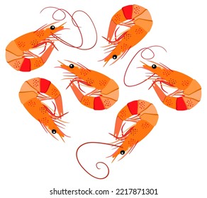 Vector bright illustration of shrimps isolated on white background.