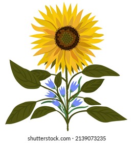 Vector bright illustration of sunflower and little bellflowers isolated on white background.