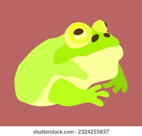 Vector bright illustration of toad.